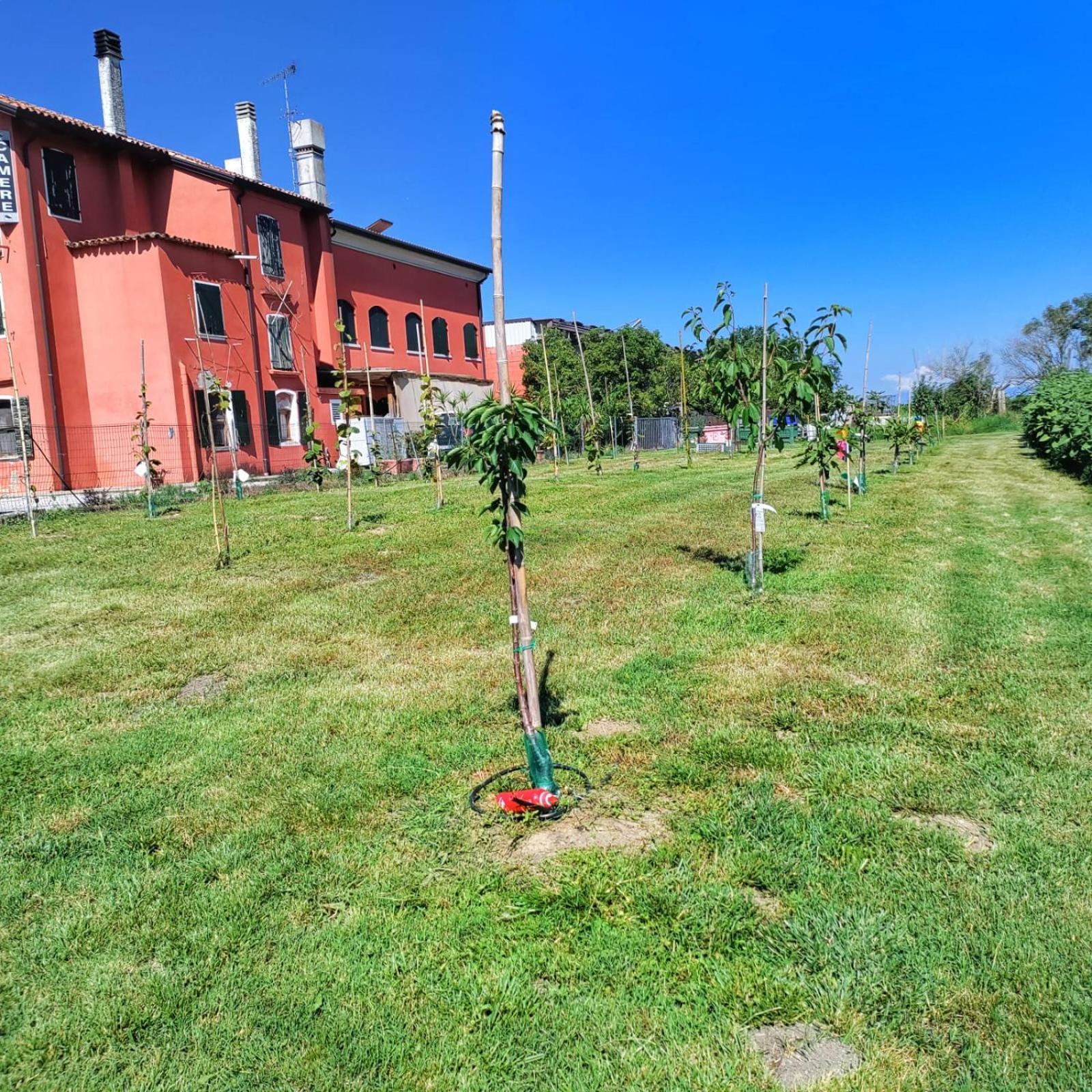 Quadrifoglio Relax ξενώνας San Donà di Piave Εξωτερικό φωτογραφία