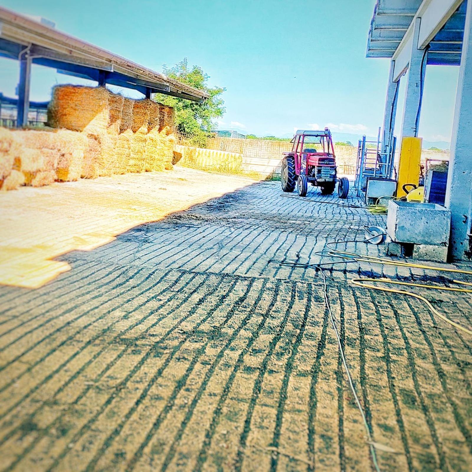 Quadrifoglio Relax ξενώνας San Donà di Piave Εξωτερικό φωτογραφία