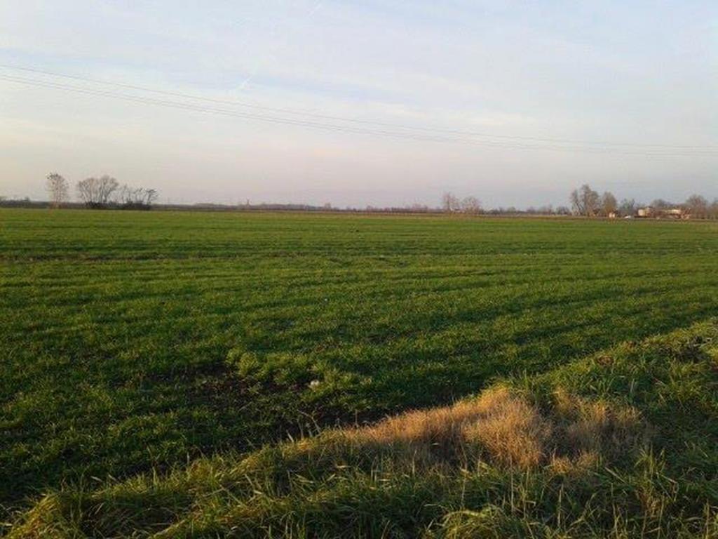 Quadrifoglio Relax ξενώνας San Donà di Piave Εξωτερικό φωτογραφία